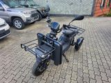 Andere ARI 145 eLastentrike+BEINSCHILD+45KMH+FAHRENAB15 - TRIKE AUTOMATIK