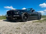 Ford Shelby GT 500 08 79000 Km - Ford Mustang aus 2008: Shelby
