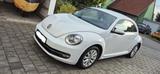 Volkswagen Beetle 1.2 TSI Design*8fach ALU*PDC vorne+hinten - Volkswagen Beetle mit Benzin-Antrieb: 1.8