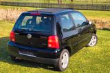 Volkswagen Lupo 1.4 44kW Trendline Trendline - Volkswagen Lupo: Schwarz
