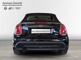 MINI One Cabrio*BlackPepper*DAB*LED*Komfortzg.*Shz.* - MINI One Cabrio Gebrauchtwagen