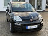 Fiat Panda Pop - gebrauchte Fiat Panda aus dem Jahr 2016