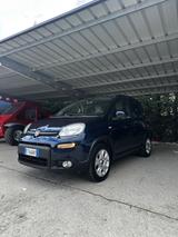 Fiat Panda 1.3 MJT S&S Trekking - Fiat Panda TREKKING mit Diesel-Antrieb