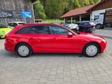 Audi A4 Avant 35 TDI basis - Audi A4: Rot