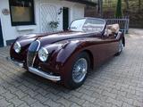 Jaguar XK 120 DHC