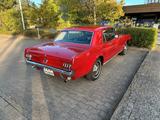Ford Mustang - gebrauchte Ford Mustang aus dem Jahr 1964
