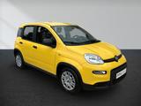 Fiat Panda 1.0 GSE Hybrid PDC - Fiat Panda: 1.0