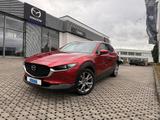 Mazda CX-30 2.0 122 PS SELECTION 1. Hand *Allwetter*