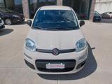 Fiat Panda 0.9 TwinAir Turbo Natural Power Loung - Fiat Panda mit CNG-Antrieb