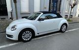 Volkswagen New Beetle Cabrio - super Zustand! - Volkswagen New Beetle: Automatik