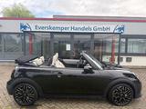 MINI COOPER S Cabrio / XL-Paket / Vollausstattung - MINI MINI mit Panoramadach