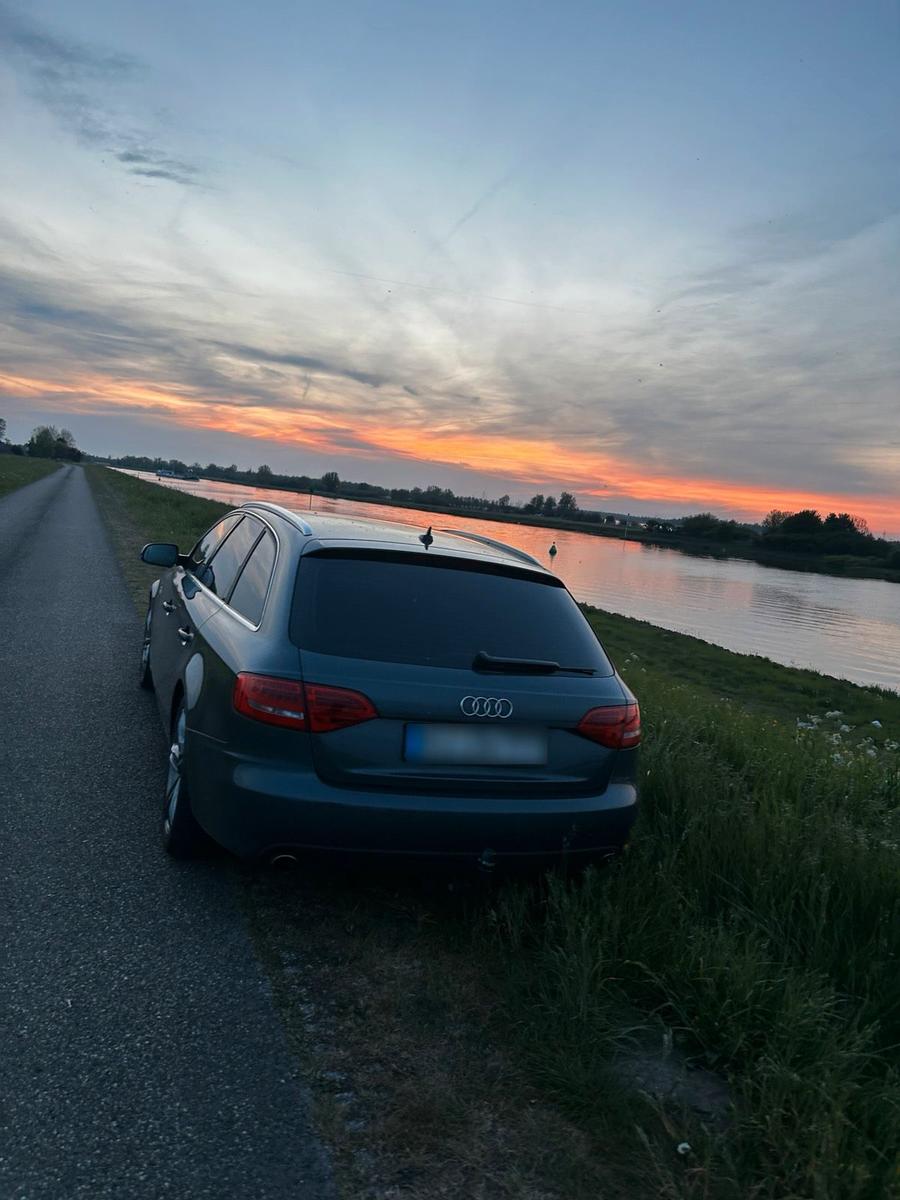 Audi Quattro 2010 — вигляд ззаду