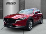 Mazda CX-30 2,5i 140PS Auto. Exclusive-Line BOSE 360 K - Mazda CX-30 Tageszulassungen