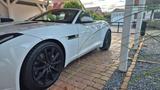 Jaguar F-Type Cabrio P300 Convertible, Top-Zust. - Jaguar F-Type mit Benzin-Antrieb: Cabrio