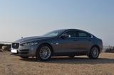 Jaguar XE 25t 240PS Portfolio Automatik Portfolio - Jaguar XE Gebrauchtwagen