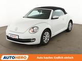Volkswagen Beetle 1.2 TSI Cup BlueMotion Tech*TEMPO*PDC*SHZ - VW Beetle Benzin Gebrauchtwagen