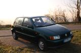 Volkswagen VW Polo III 1.4 Basis 59PS TÜV 8/26 Schieb... - Volkswagen Polo: Iii