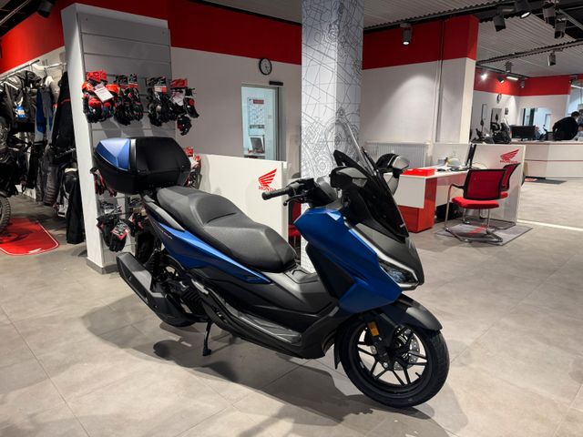 Honda Forza 125 2025 Blau *sofort verfügbar*