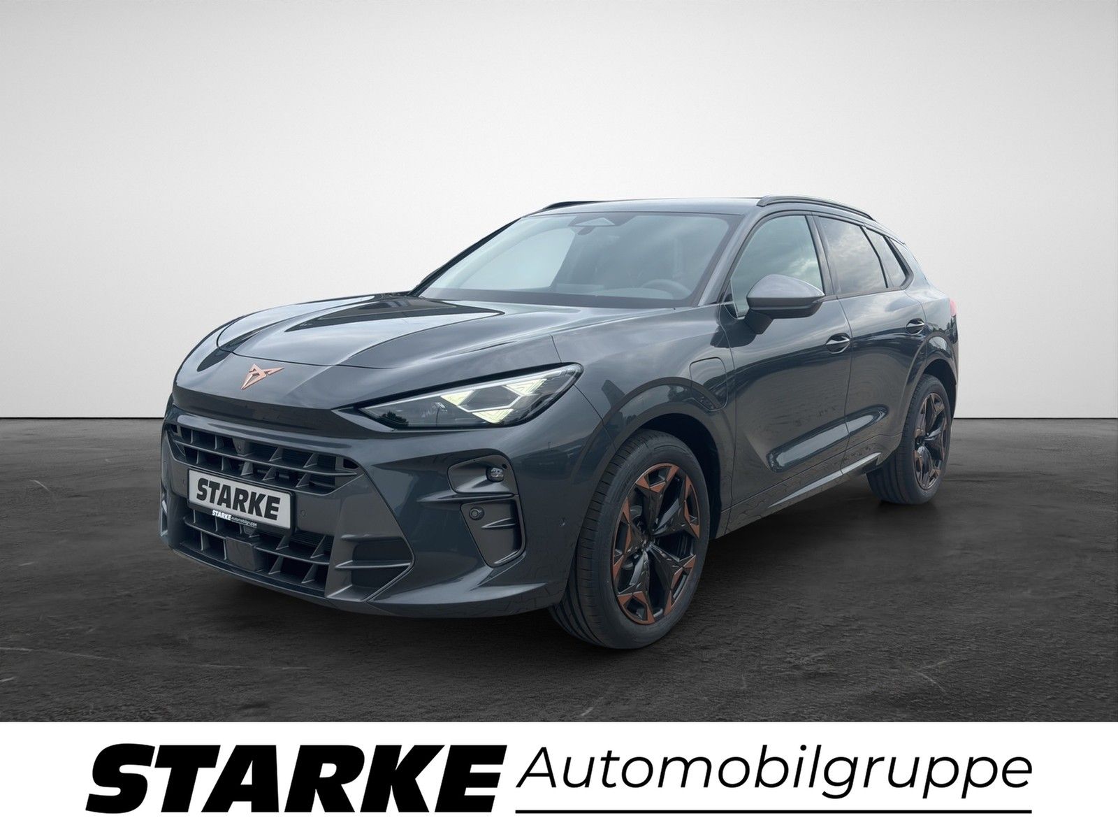 Cupra Terramar 1.5 e-Hybrid DSG HeadUp Navi LED Kamer imagem 2
