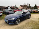 Audi A5 Cabriolet 40 TDI quattro sport 1-Hand Kamera - Audi Gebrauchtwagen in Bayreuth