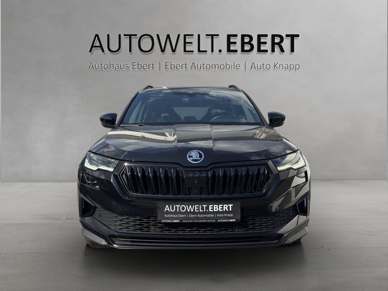 Fahrzeugabbildung SKODA Karoq 2.0 TSI Sportline 4x4/AHK/PANO/360°/ACC/