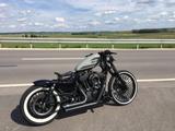Harley-Davidson Sportster XL 1200 Iron