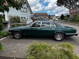 Jaguar XJ6 Serie III - Jaguar: Iii