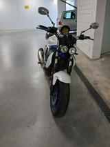 Suzuki Gladius - Angebote