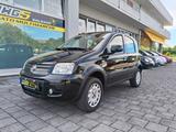Fiat Panda 1.2 4x4 Climbing - gebrauchte Fiat Panda aus dem Jahr 2012