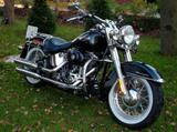 Harley-Davidson Softail Deluxe (FLSTNI) - HARLEY-DAVIDSON 2005 SOFTAIL DELUXE