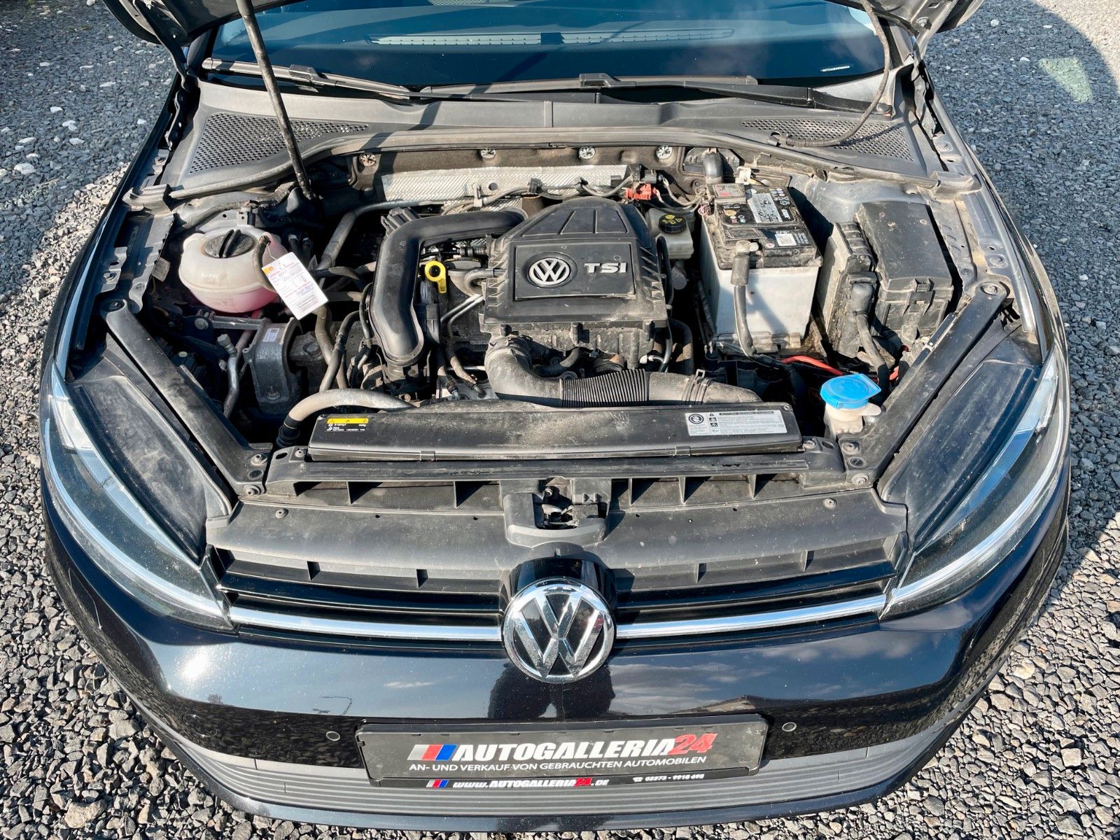 Fahrzeugabbildung Volkswagen Golf VII 1.0 TSI Lim. Trendline Klima 1.HAND SHZ