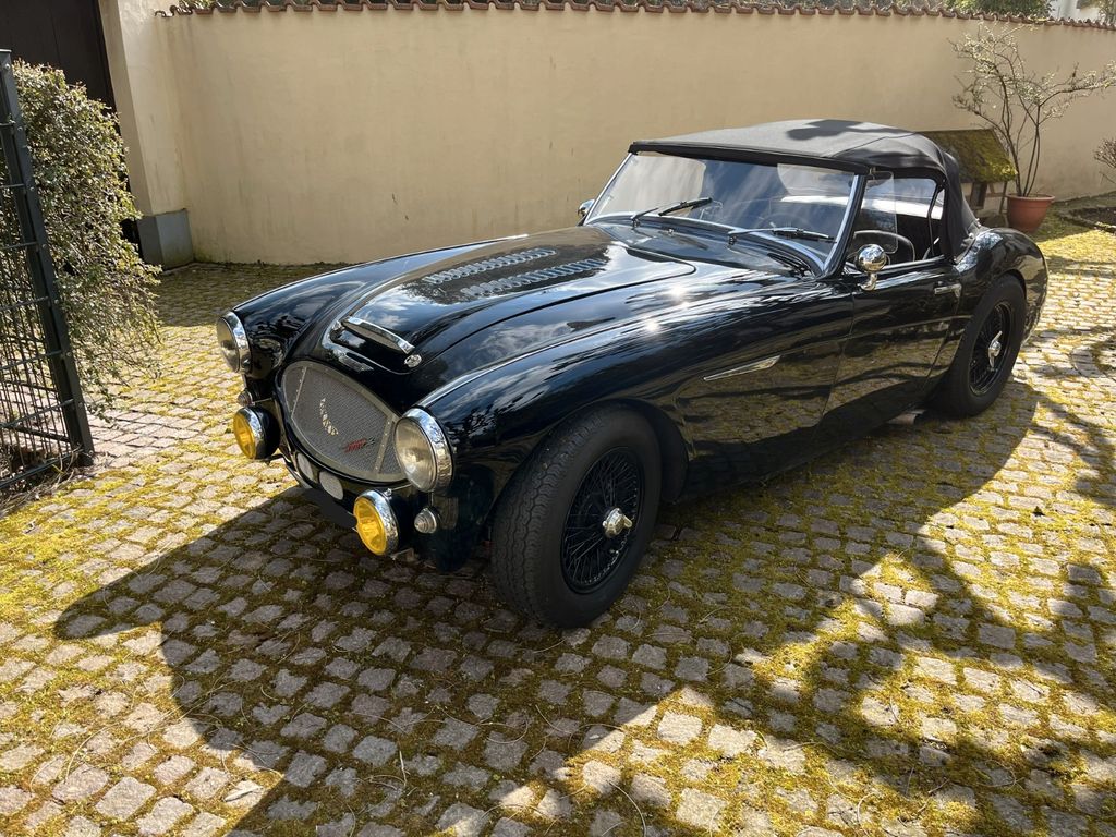 Austin Healey Andere
