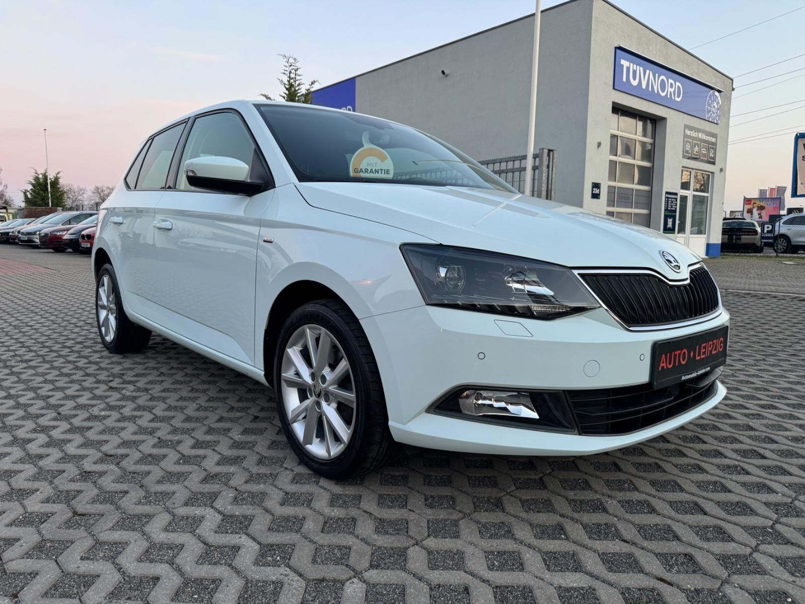 Skoda Fabia Clever,Klima,Sitzhz,ACC-Tempo,PDC,Alu,DAB