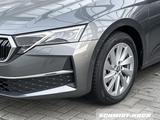 Skoda Octavia Combi 1.5 TSI DSG mHEV Selection AHK PDC - Gebrauchtwagen in der Nähe & deutschlandweit
