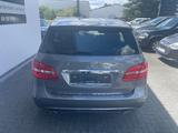 Mercedes-Benz B 220 CDI Autom/Xenon/LederBraun 1JahrGarantie - Mercedes-Benz B-Klasse Gebrauchtwagen in Frankfurt