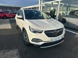 Opel Grandland X Innovation Pano Leder - Opel Grandland (X): Weiß