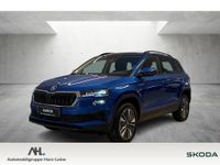 Skoda Karoq - Vorschau Bild 1