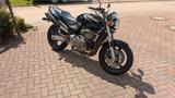 Honda Hornet CB 600 F (PC34) - HONDA 2000 HORNET 600
