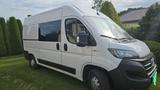 Fiat Ducato L2H2, professioneller Camper-Ausbau