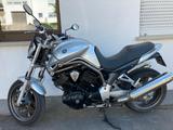 Yamaha Bulldog Belgarda - Angebote