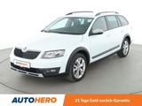 Skoda Octavia 2.0 TDI Scout 4x4 Aut.*ACC*CAM*PDC*SHZ* - Skoda Octavia: Allradantrieb, Scout