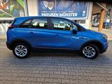 Opel OPEL CROSSLAND X 2017  Top gepflegt, Erst... - Opel GT in Wuppertal