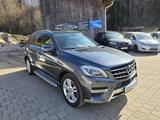 Mercedes-Benz ML 350 CDI BlueTec - graue Mercedes-Benz ML 350