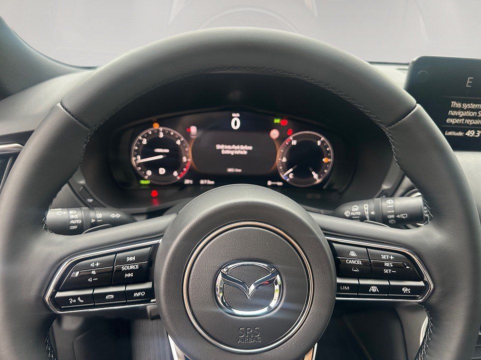 Fahrzeugabbildung Mazda CX-60 3.3d 254PS AWD Homura PANO BLOP