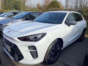 Cupra Terramar - 1