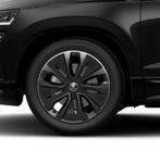 Skoda Karoq - Vorschau Bild 26