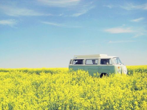 Volkswagen T2