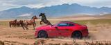 Ford Mustang 5.0 Ti-VCT V8 GT Auto GT