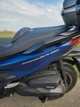 Honda Forza NSS 350A Blau - HONDA 350