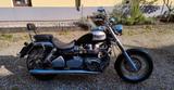Triumph Bonneville America  - Angebote entsprechen deinen Suchkriterien